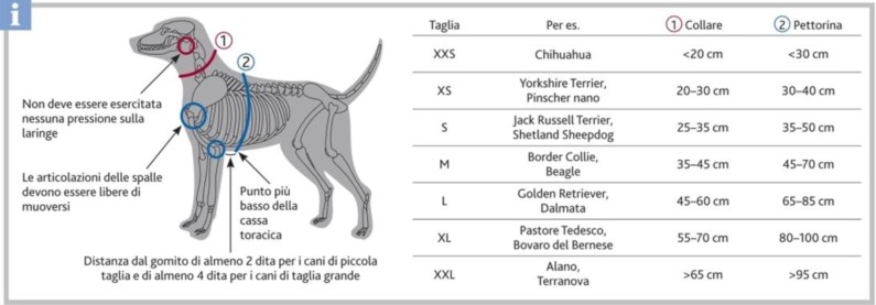 TRIXIE PETTORINA ad H per cani di grande taglia L, L-XL ed XL-XXL – Il Nido  di Fido