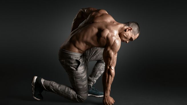 Boldenona en Musculación: Todo lo Que Necesitas Saber